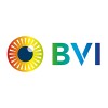 BVI Medical