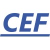 CEF Solutions Inc.