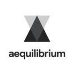 Aequilibrium Software Inc.