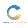 Caspian Digital Solutions